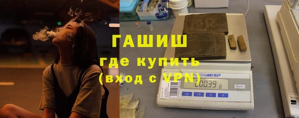 сатива Алзамай