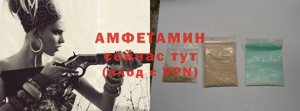 сатива Алзамай
