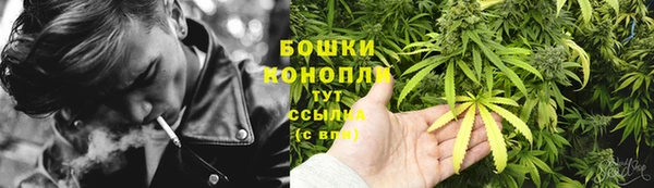 сатива Алзамай