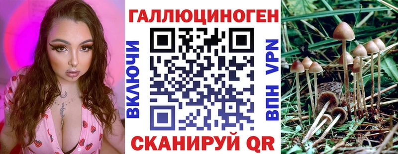 Галлюциногенные грибы MAGIC MUSHROOMS Навашино