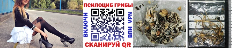 гидра как зайти  Навашино  Псилоцибиновые грибы Cubensis 
